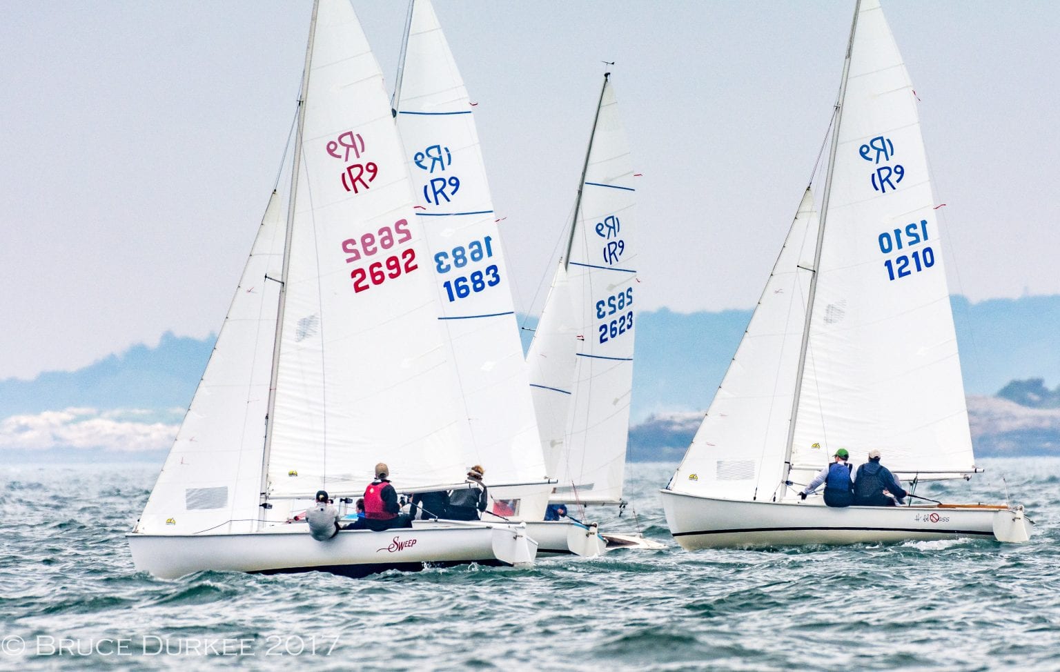 Rhodes 19 US Sailing